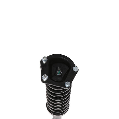 PRT Suspension Strut and Coil Spring Assembly 710083