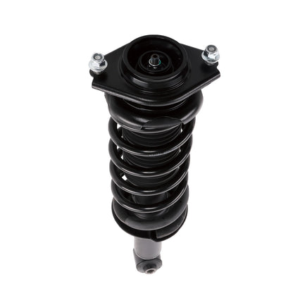 PRT Complete Strut Assembly 710370