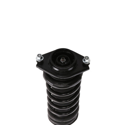 PRT Suspension Strut and Coil Spring Assembly 710371