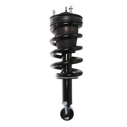 PRT Suspension Strut and Coil Spring Assembly 710410