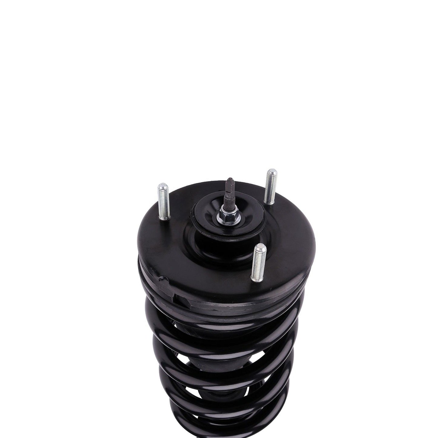 PRT Suspension Strut and Coil Spring Assembly 710413