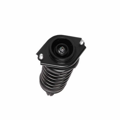 PRT Suspension Strut and Coil Spring Assembly 710771