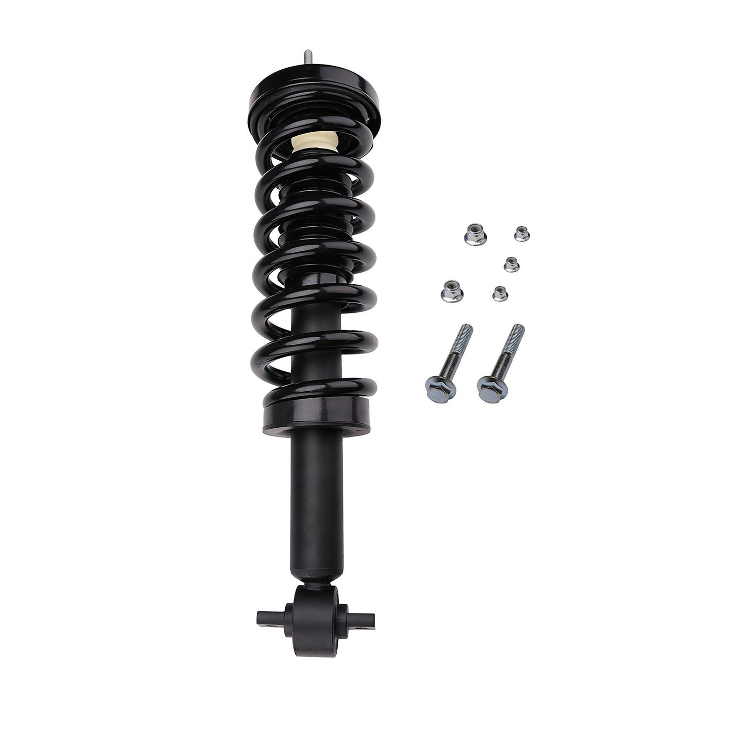 PRT Suspension Strut and Coil Spring Assembly 710788