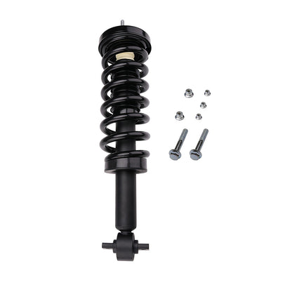 PRT Suspension Strut and Coil Spring Assembly 710788