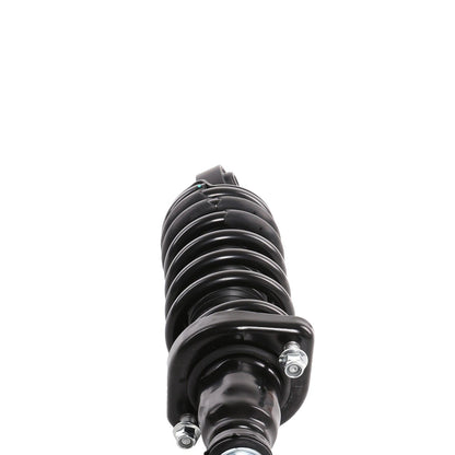 PRT PRT Complete Strut Assembly 710789
