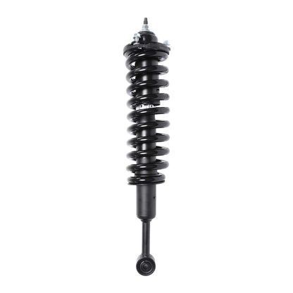 PRT PRT Complete Strut Assembly 710875