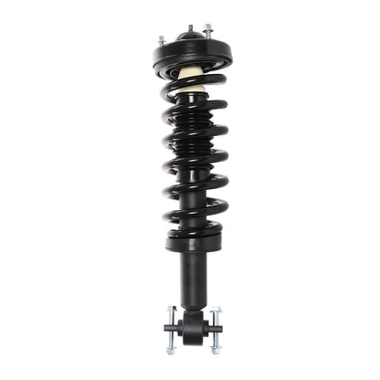 PRT Suspension Strut and Coil Spring Assembly 710879