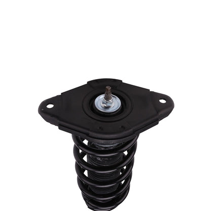 PRT Suspension Strut and Coil Spring Assembly 712006