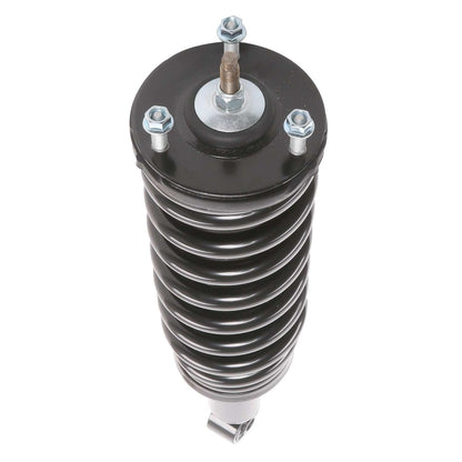 PRT Suspension Strut and Coil Spring Assembly 713171R