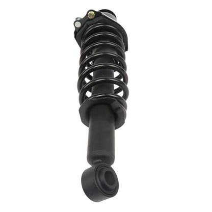 PRT PRT Complete Strut Assembly 713391