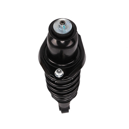 PRT Suspension Strut and Coil Spring Assembly 713392