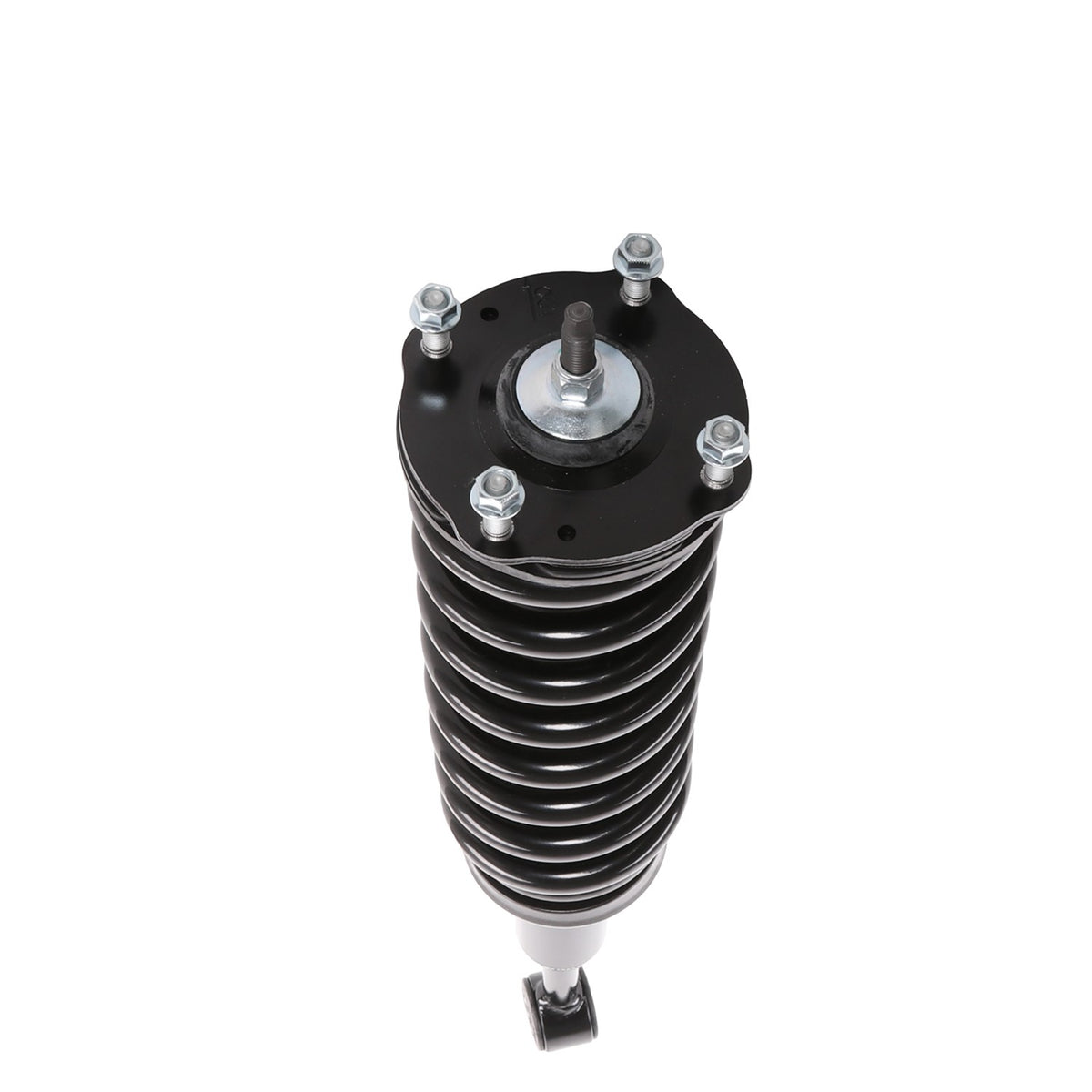 PRT Complete Strut Assembly 714010