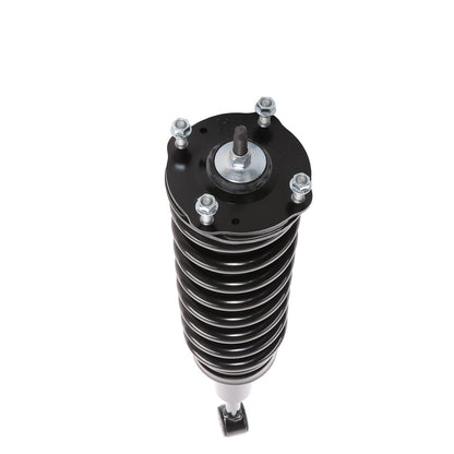 PRT Complete Strut Assembly 714010