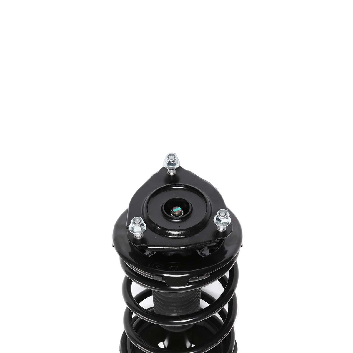 PRT Suspension Strut and Coil Spring Assembly 810090