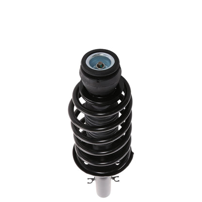 PRT Complete Strut Assembly 810121