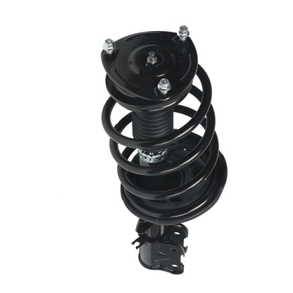 PRT PRT Complete Strut Assembly 810149