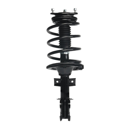 PRT PRT Complete Strut Assembly 810149