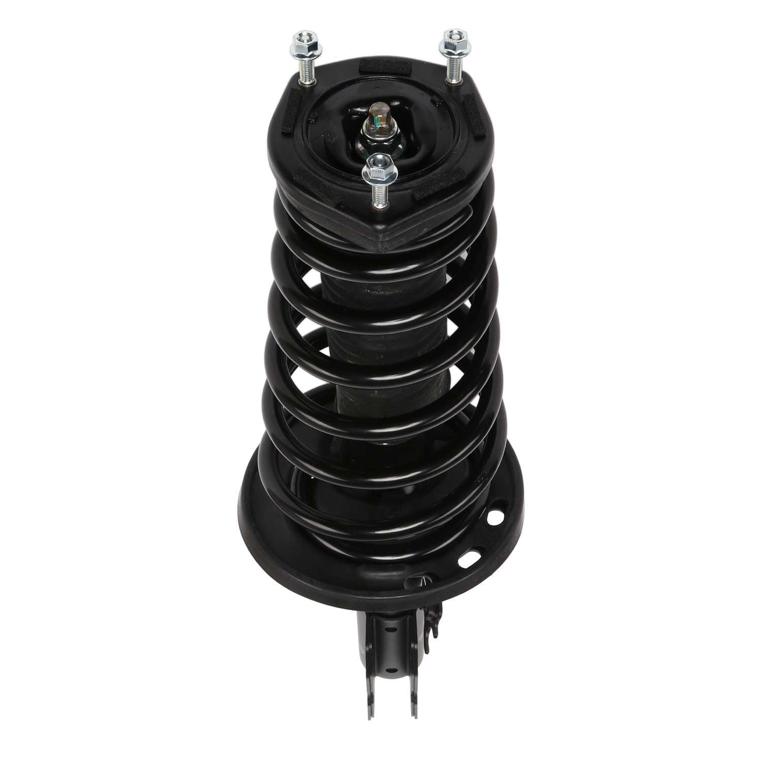 PRT Suspension Strut and Coil Spring Assembly 810199