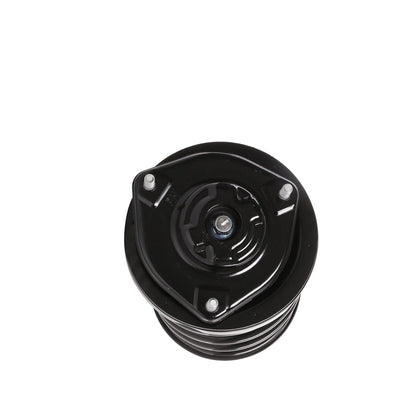 PRT Suspension Strut and Coil Spring Assembly 810402