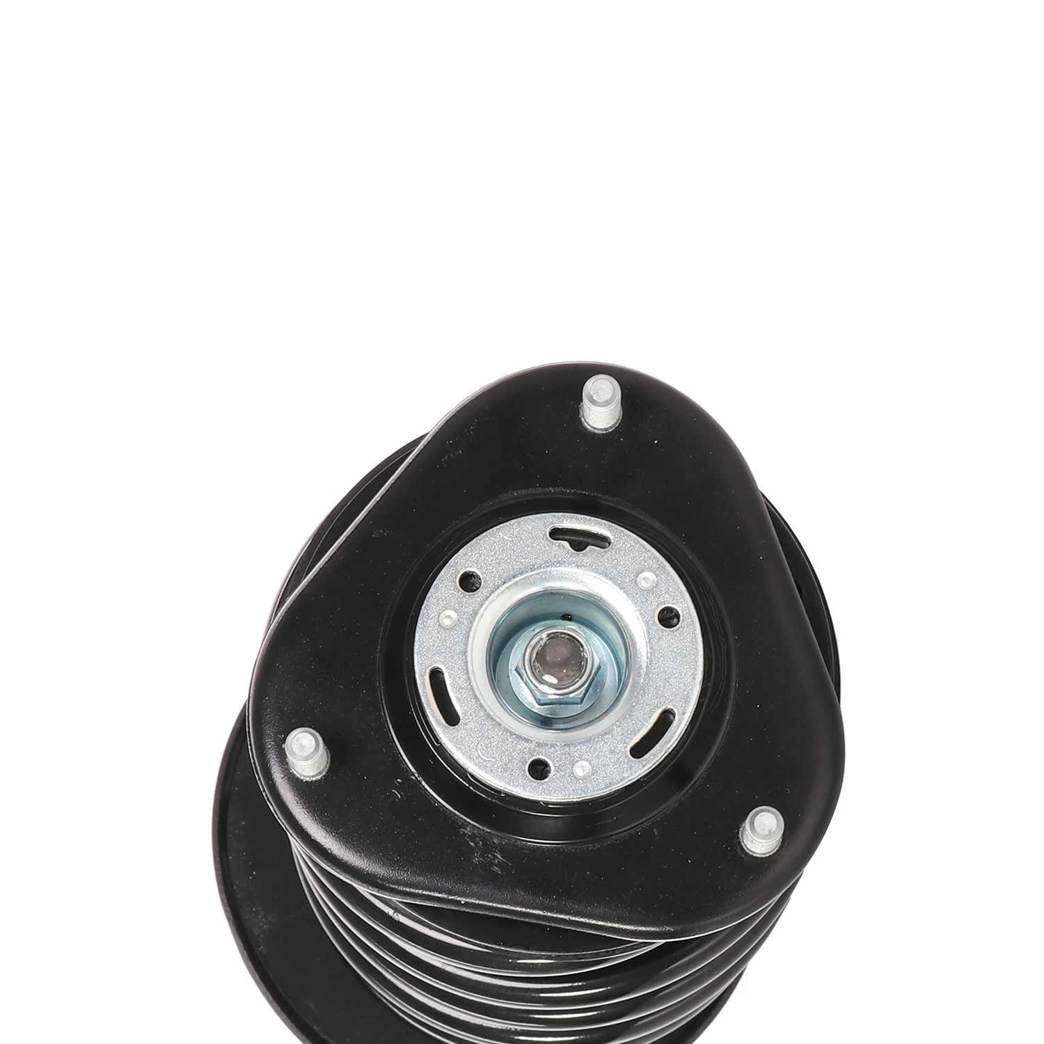 PRT Suspension Strut and Coil Spring Assembly 810407