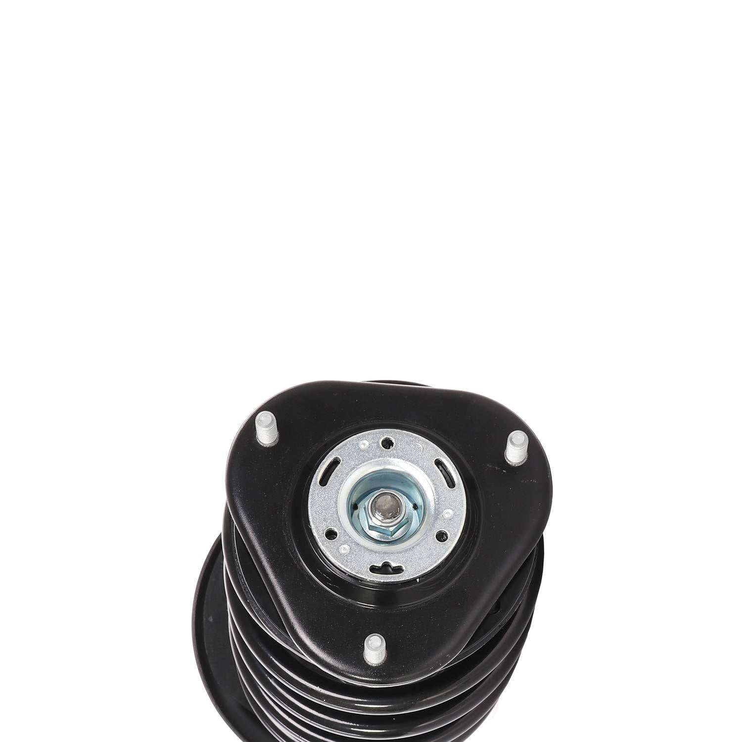 PRT Suspension Strut and Coil Spring Assembly 810408