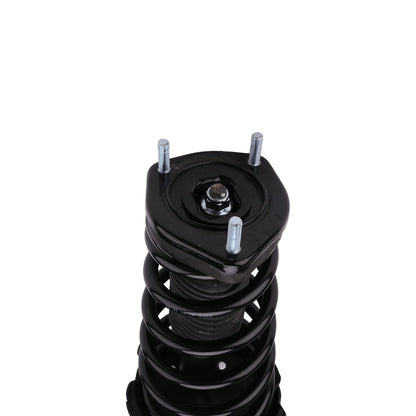 PRT Suspension Strut and Coil Spring Assembly 810414