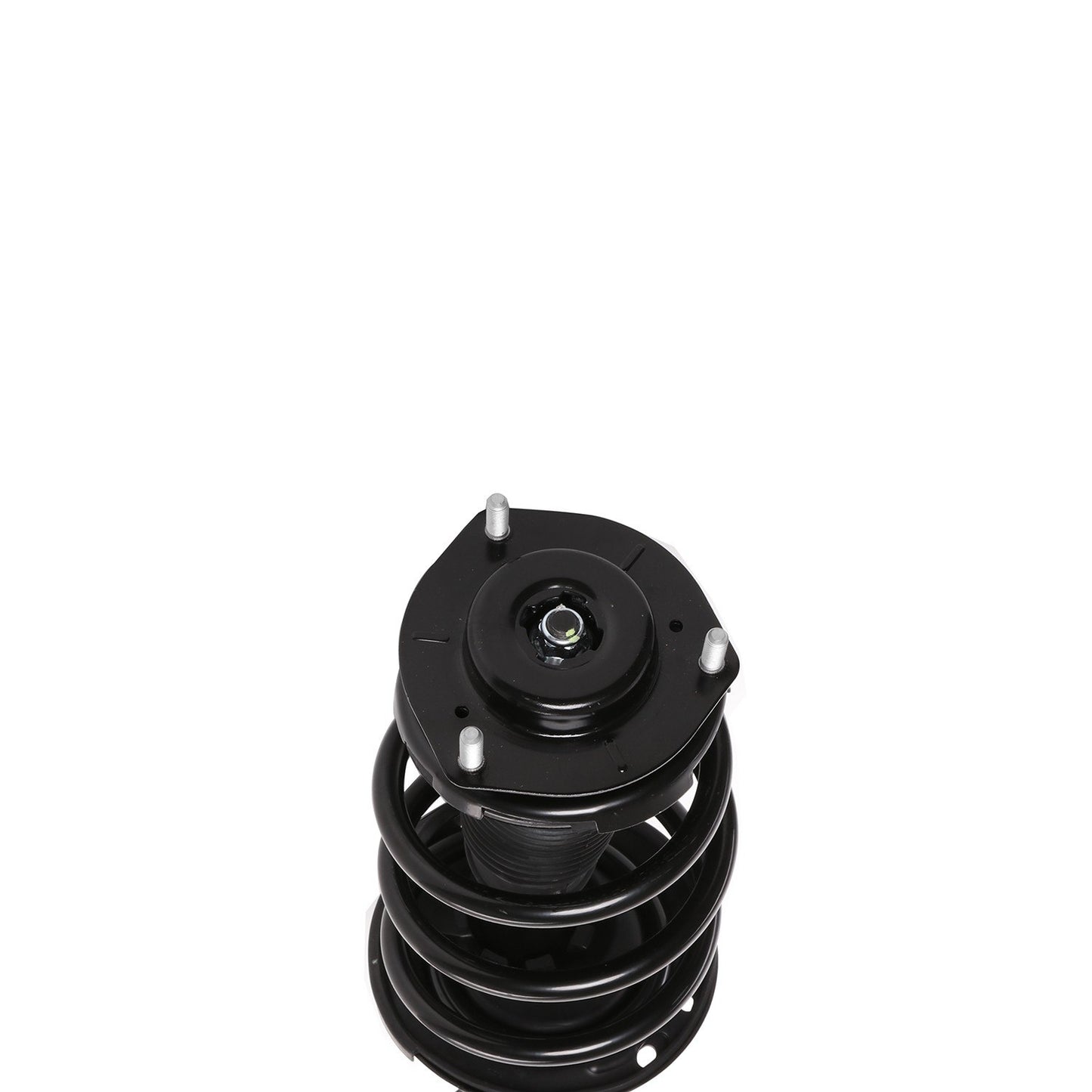 PRT Suspension Strut and Coil Spring Assembly 810415