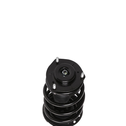 PRT Suspension Strut and Coil Spring Assembly 810415