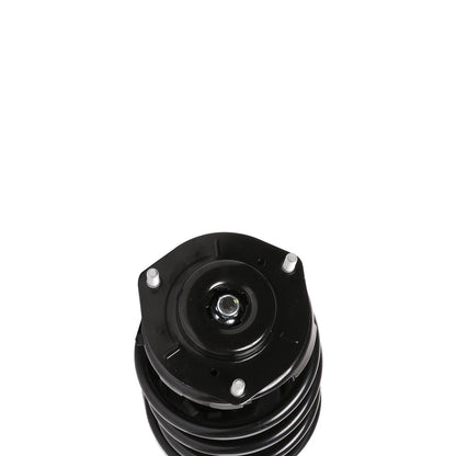 PRT Suspension Strut and Coil Spring Assembly 810416