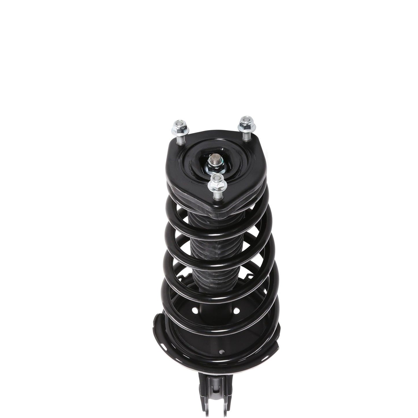 PRT Suspension Strut and Coil Spring Assembly 810426