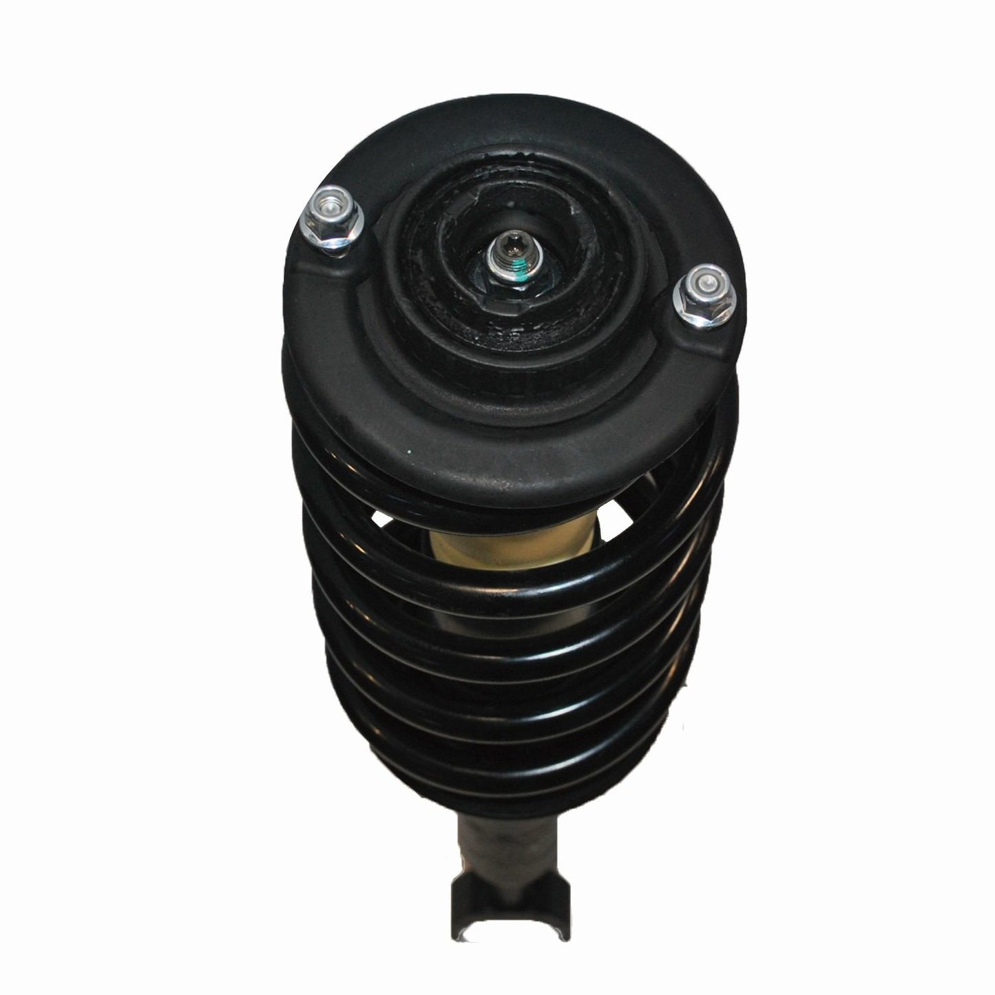 PRT Suspension Strut and Coil Spring Assembly 811045R