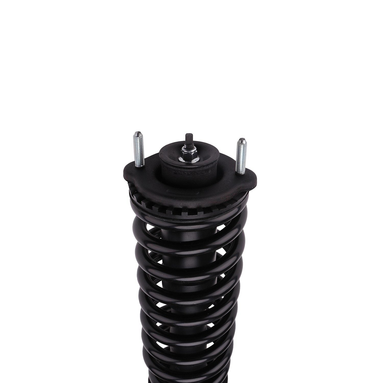 PRT Suspension Strut and Coil Spring Assembly 813331