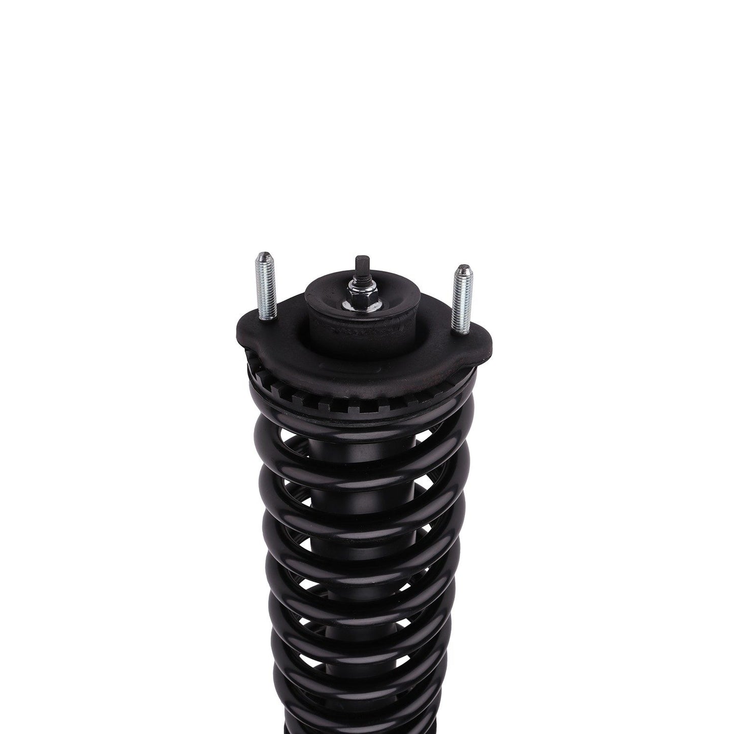 PRT Suspension Strut and Coil Spring Assembly 813331