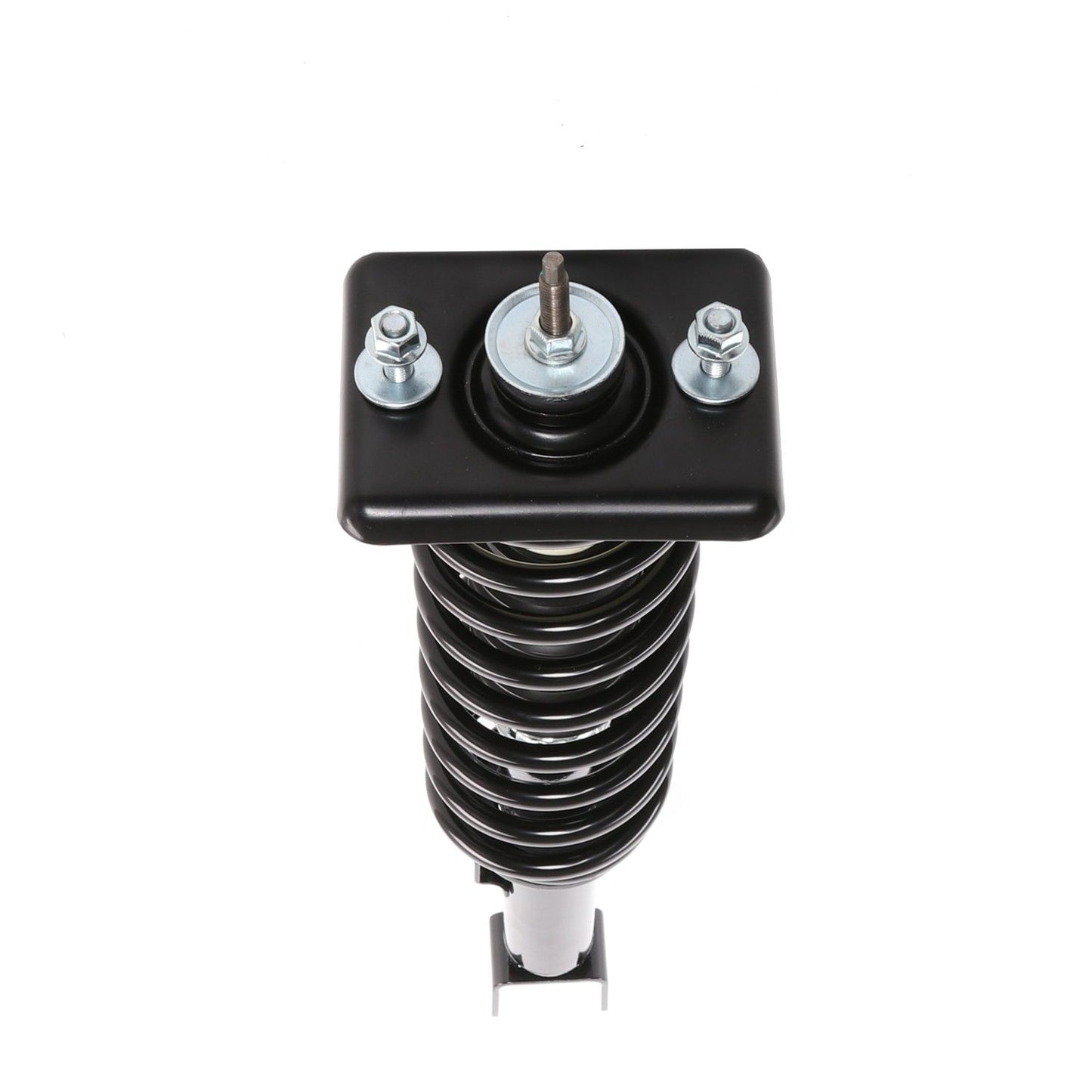 PRT Suspension Strut and Coil Spring Assembly 813340