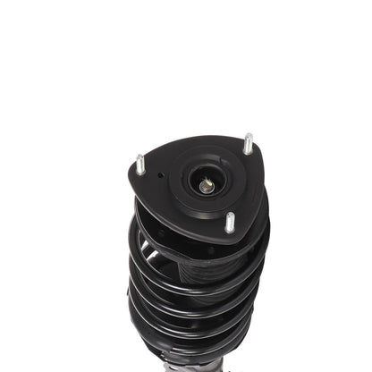 PRT Suspension Strut and Coil Spring Assembly 813403