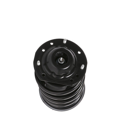 PRT Suspension Strut and Coil Spring Assembly 813493