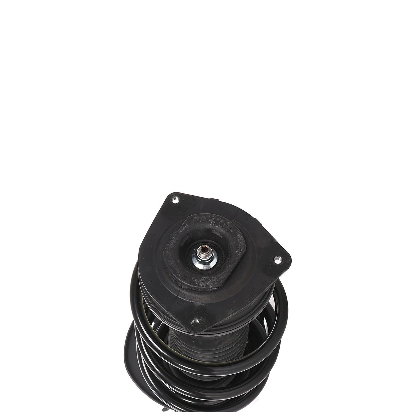 PRT PRT Complete Strut Assembly 813859