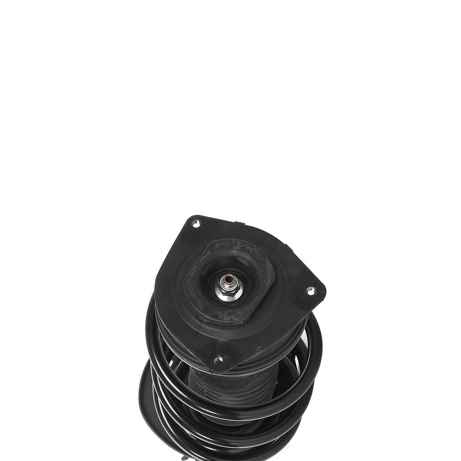 PRT PRT Complete Strut Assembly 813859