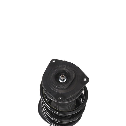PRT PRT Complete Strut Assembly 813859