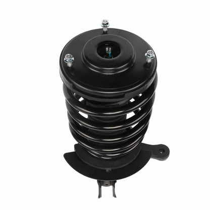 PRT Suspension Strut and Coil Spring Assembly 814035