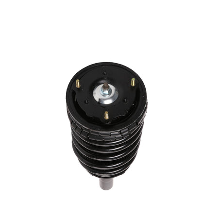 PRT Suspension Strut and Coil Spring Assembly 814075