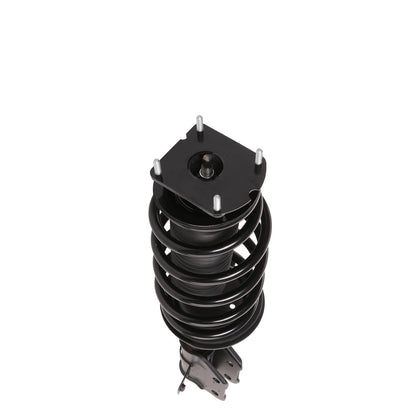 PRT Suspension Strut and Coil Spring Assembly 814244