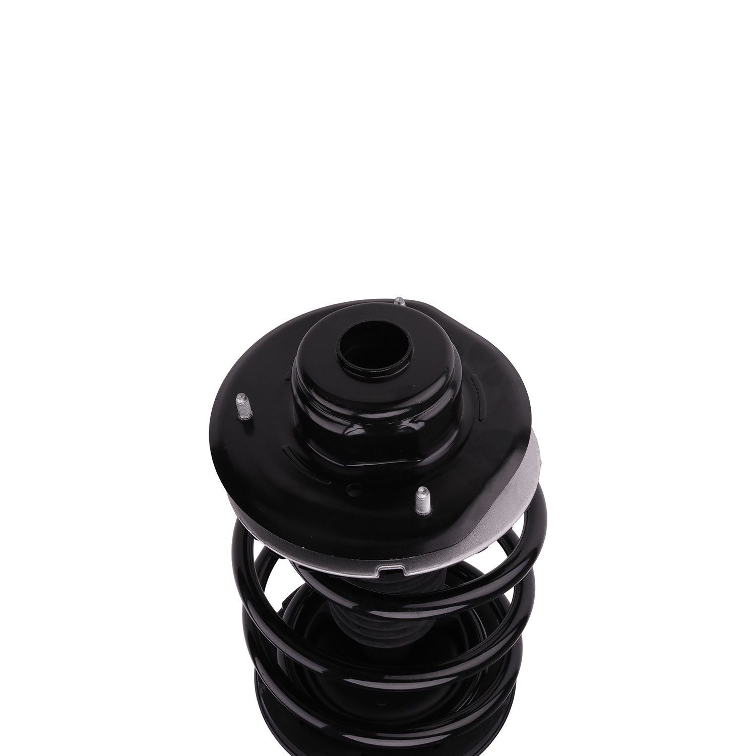 PRT Suspension Strut and Coil Spring Assembly 814407L