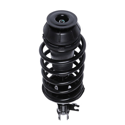 PRT Suspension Strut and Coil Spring Assembly 814413