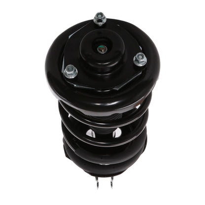 PRT Suspension Strut and Coil Spring Assembly 814525