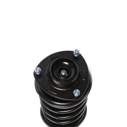 PRT PRT Complete Strut Assembly 814558