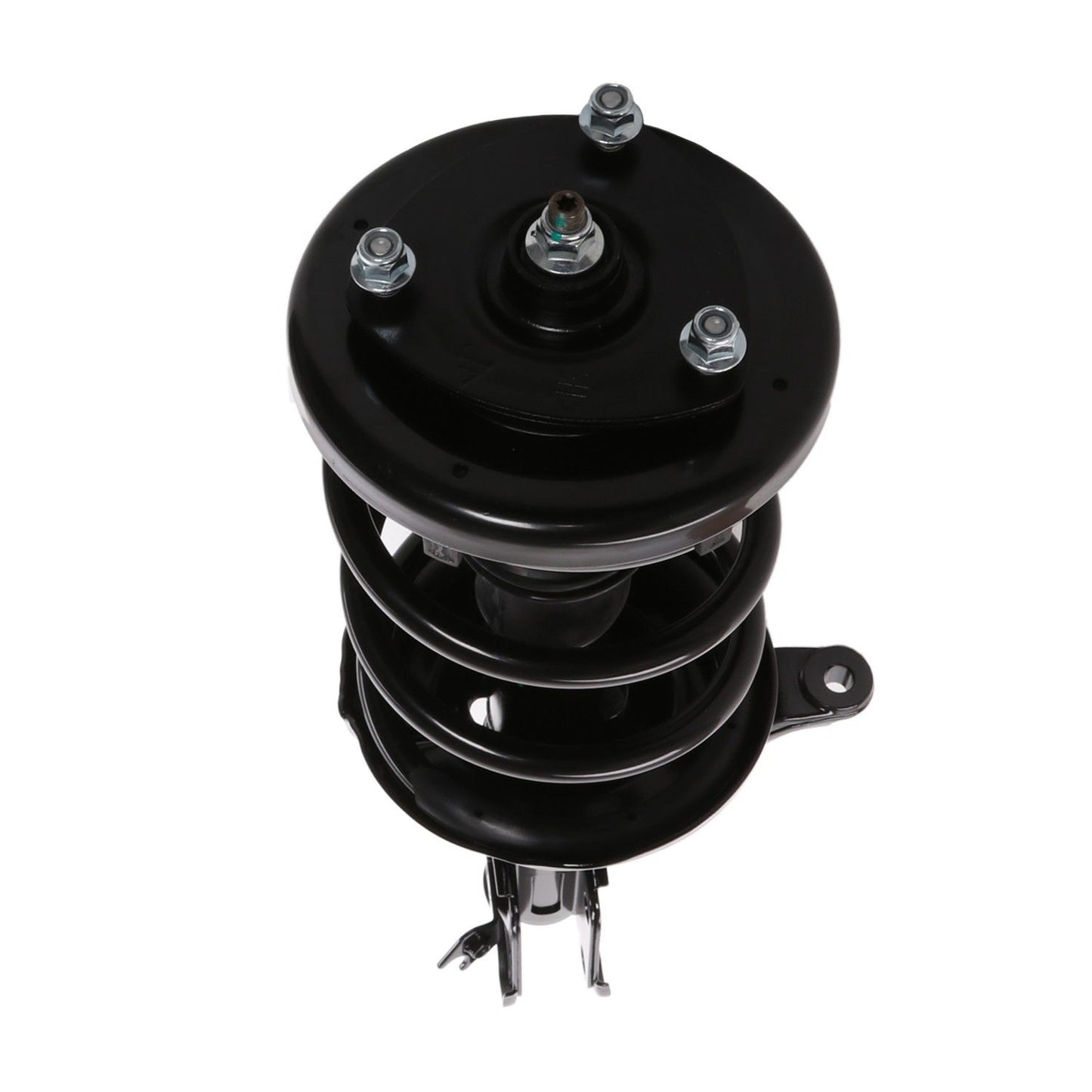 PRT Suspension Strut and Coil Spring Assembly 815007