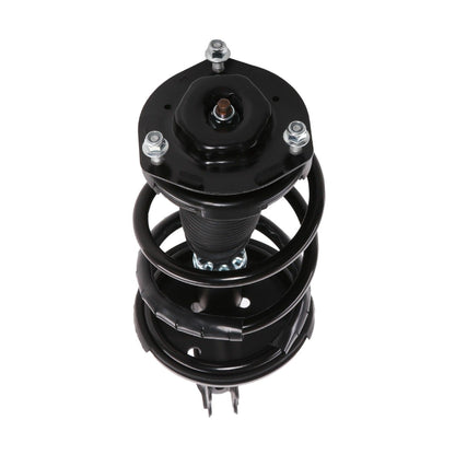 PRT Suspension Strut and Coil Spring Assembly 815019