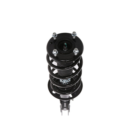 PRT Suspension Strut and Coil Spring Assembly 815022