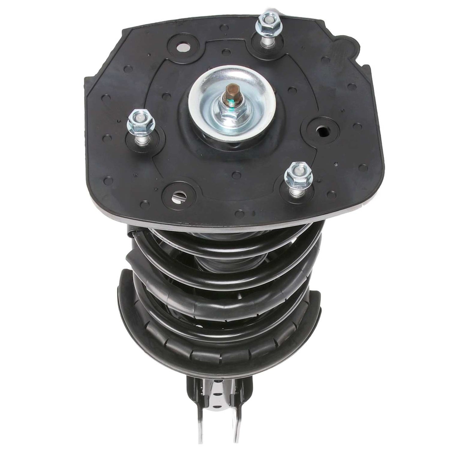 PRT Suspension Strut and Coil Spring Assembly 815023